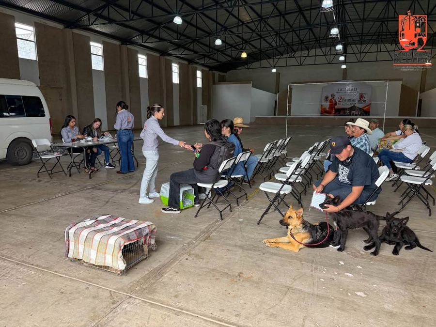 Registro de mascotas durante la campaña de esterilización